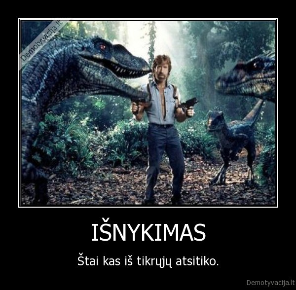 chuck,norris,dinozaurai