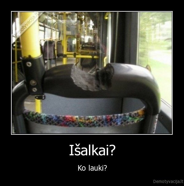 nukasta, kede, juokinga, bieber, meile, liudna