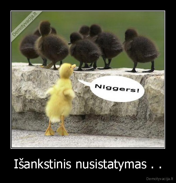 Išankstinis nusistatymas . .