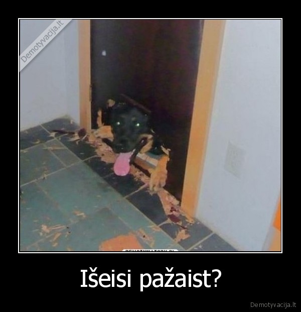 suo,pragrauze, duris