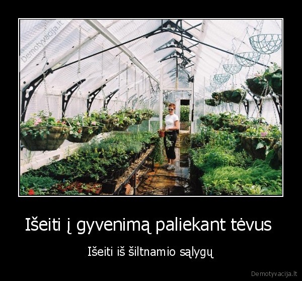 siltnamis, greenhouse, sunkus, gyvenimas, kai, reikia, paciam, viska