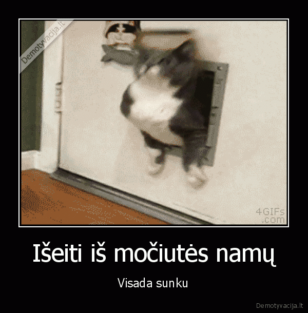 storas, katinas,landa, katinui