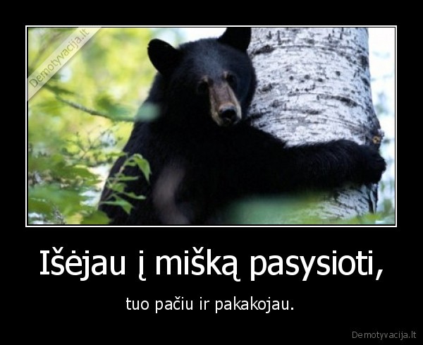 neikite, vaikai, i, miska