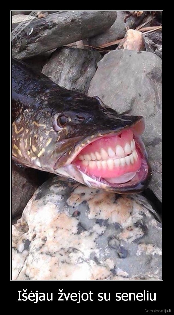 Išėjau žvejot su seneliu