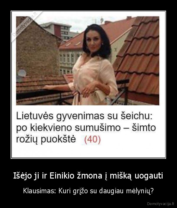 uogavimas,uogos,juodas, humoras,seicho, zmona