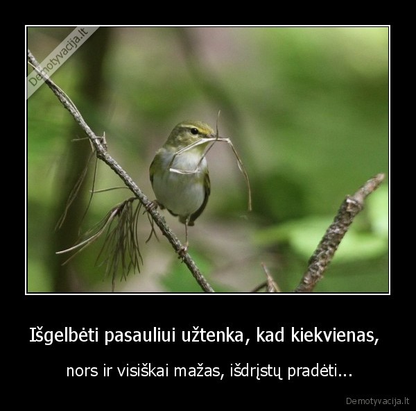 Išgelbėti pasauliui užtenka, kad kiekvienas, 