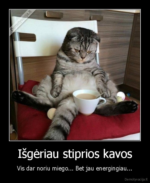 miegas,sunkus, rytas