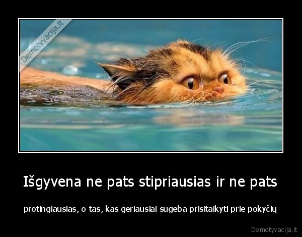 isgyvenimas,islikimas,protas,stiprybe