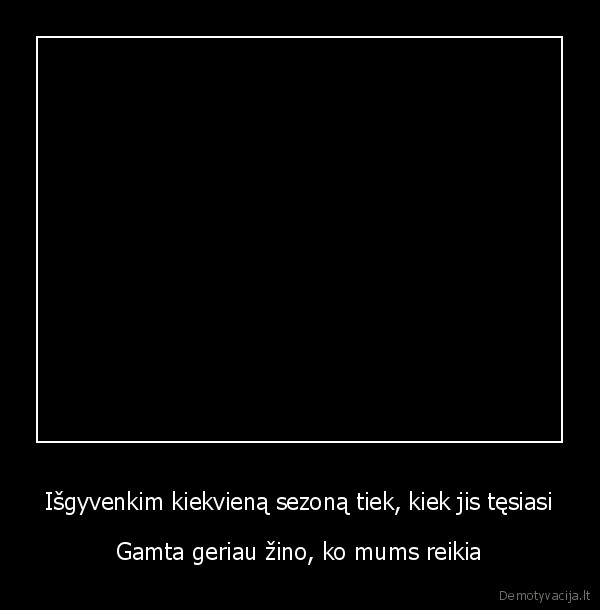 pavasaris, ziema, gamta, gyvunai, harmonija