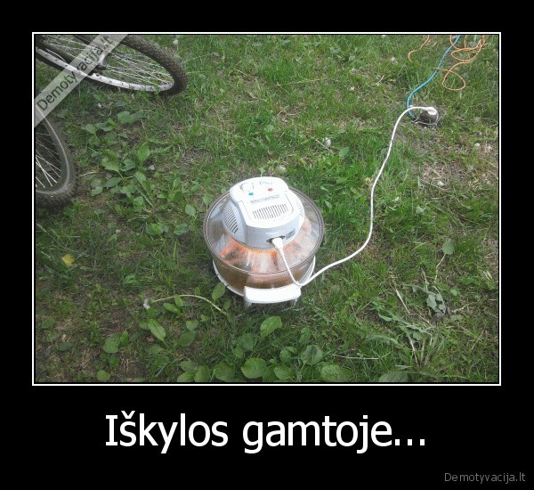 Iškylos gamtoje...