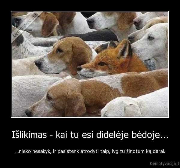 Išlikimas - kai tu esi didelėje bėdoje...