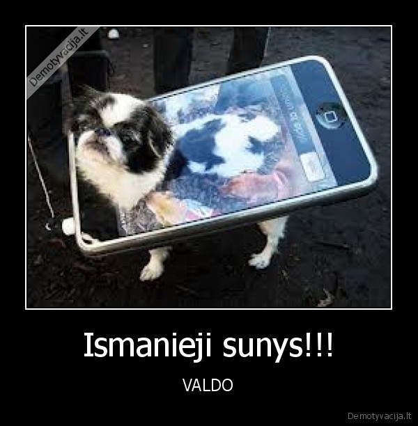 Ismanieji sunys!!!