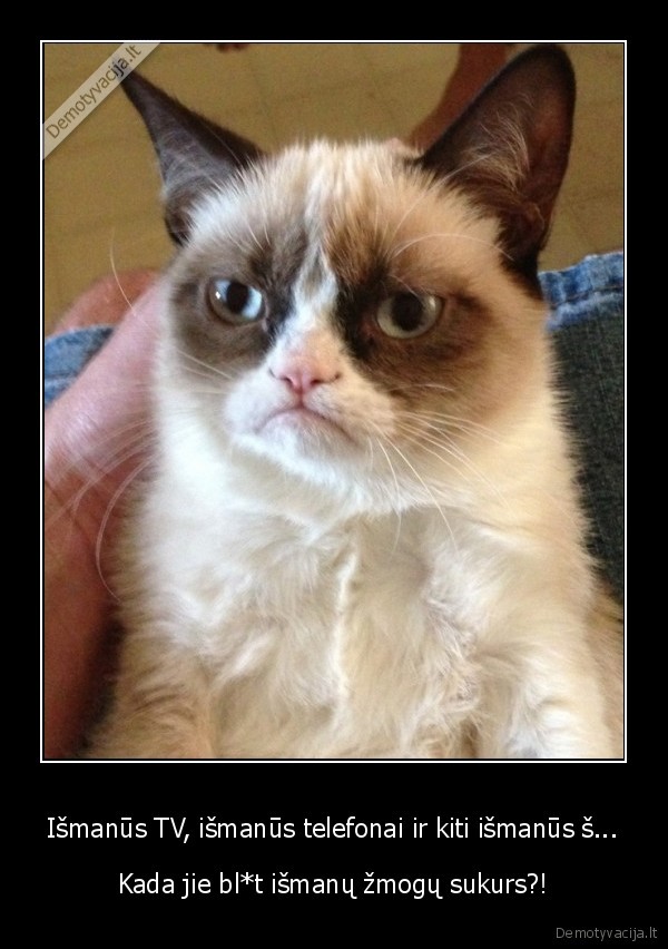 ismanioji, karta,ismanumas,kvaili, zmones,grumpy, cat