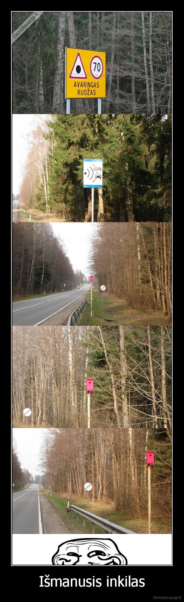 inkilas, pauksciukas, greitis, kelias, zenklas