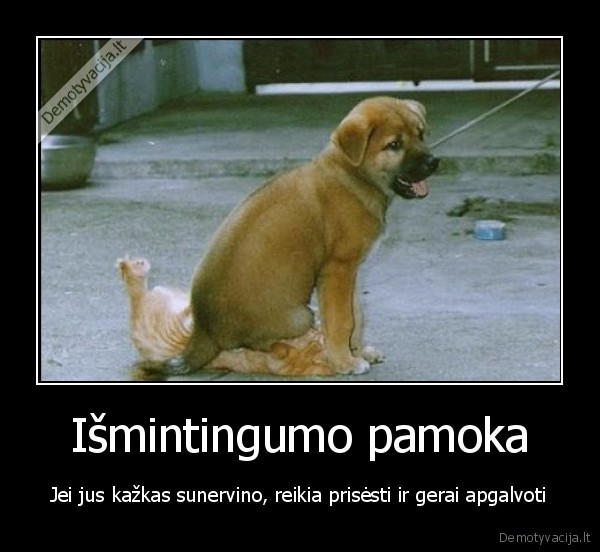 ismintingumo, pamoka,isminties, pamoka,ismintis,ismintingumas,prisesti, katina