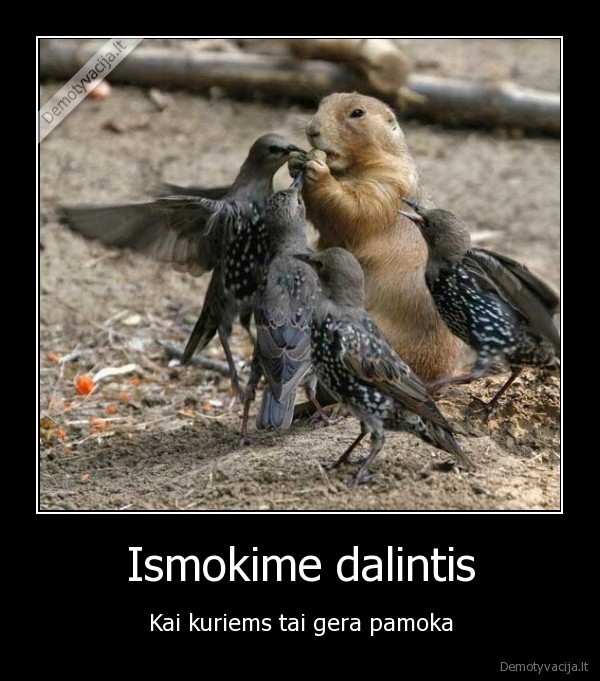 Ismokime dalintis