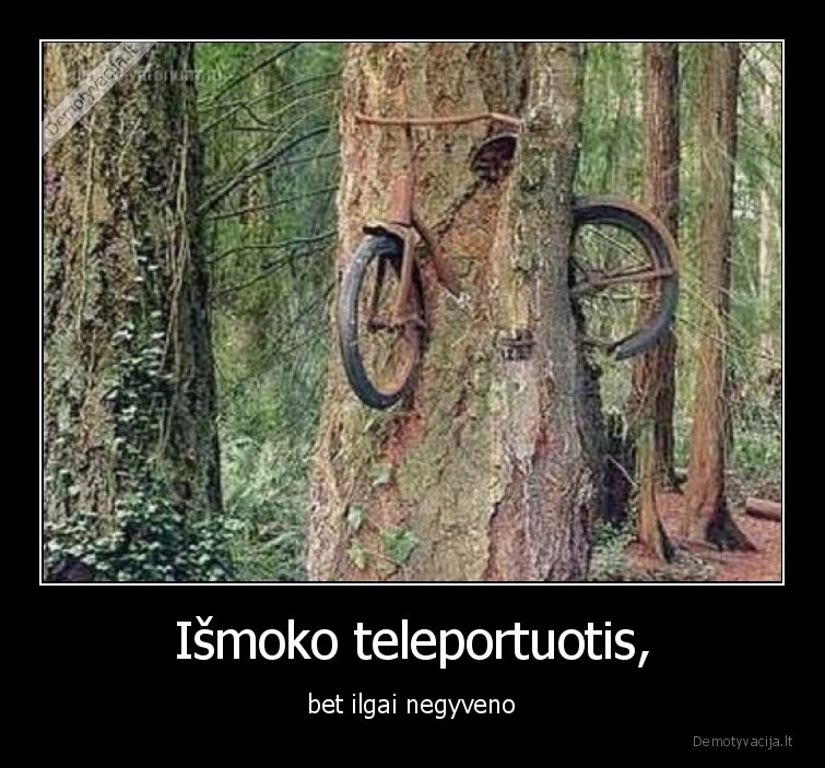 teleportas,teleportuotis,medis,dviratis