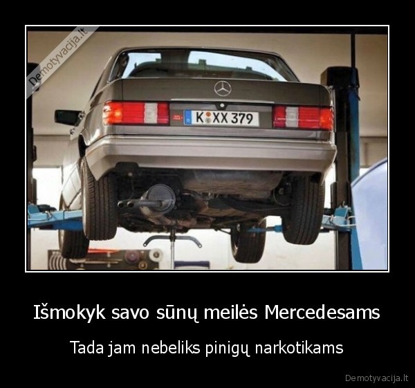 mercedes, remontas,brangus, remontas