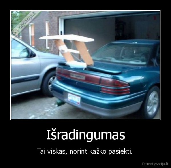 spoiler, speed, car, funny