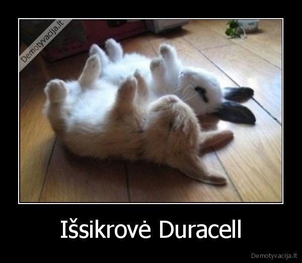 Išsikrovė Duracell
