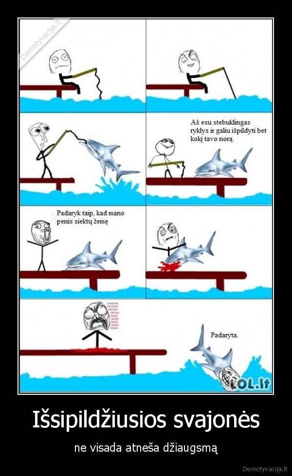 Išsipildžiusios svajonės