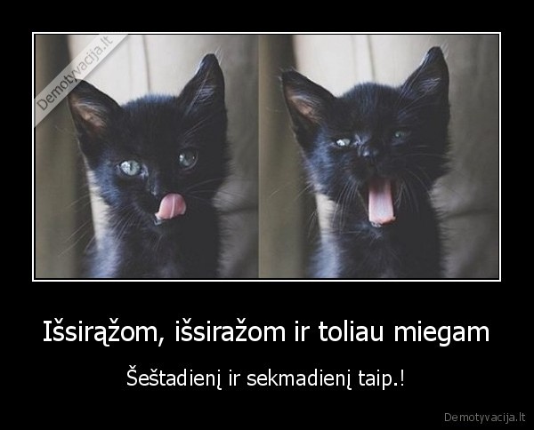 Išsirąžom, išsiražom ir toliau miegam