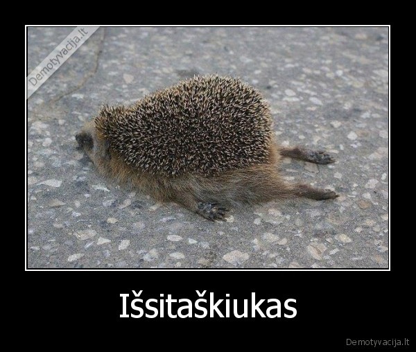 gyvunas, eziukas, ezys, omnitel