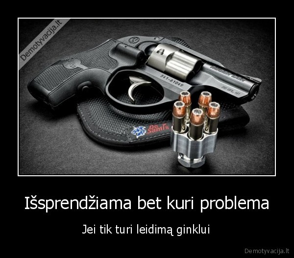 ginklas,problemos,sprendimai