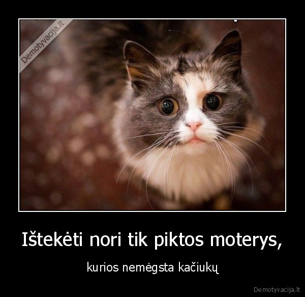 kaciukai,teketi,moterys