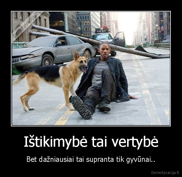 Ištikimybė tai vertybė