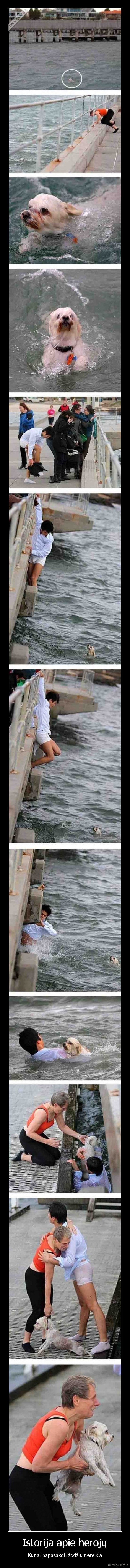 herojus,herojiskas, poelgis,isgelbejo, suniuka