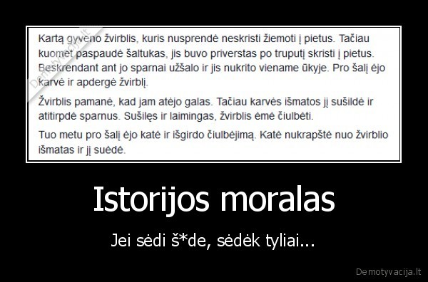 Istorijos moralas