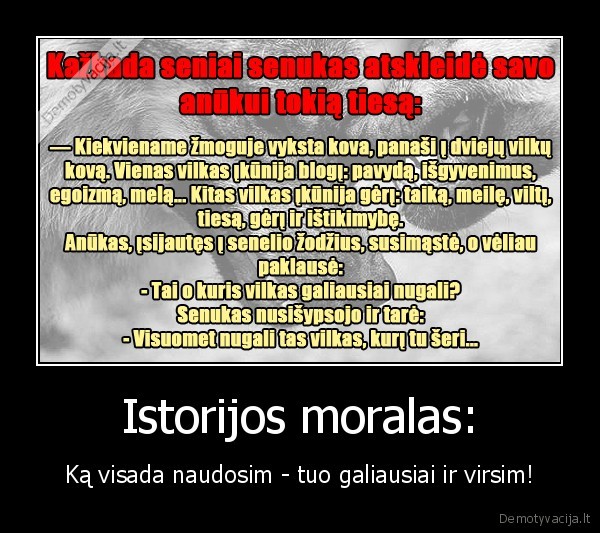 Istorijos moralas:
