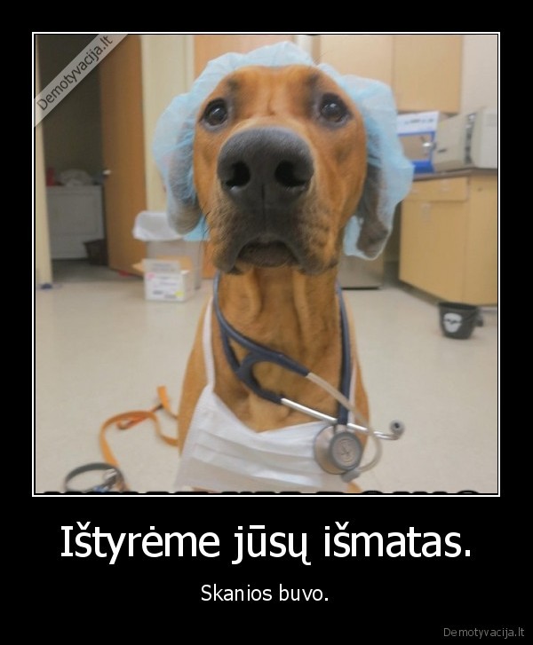 suo,daktaras,kakalai