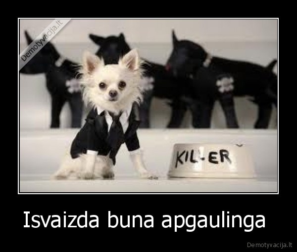 Isvaizda buna apgaulinga 