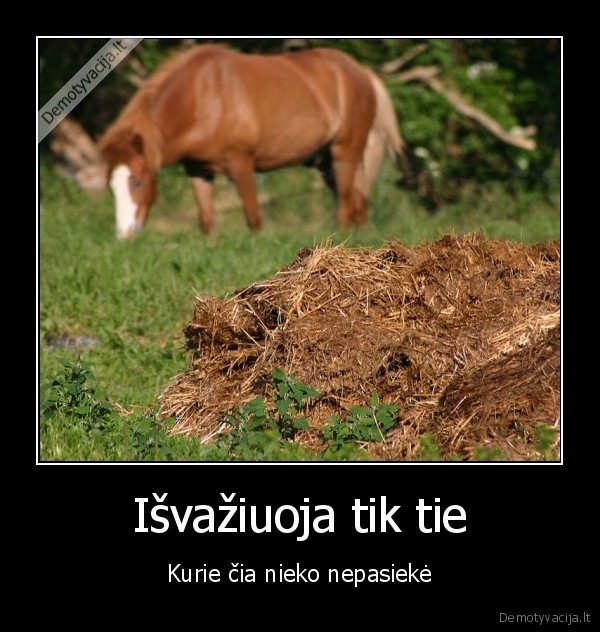 Išvažiuoja tik tie