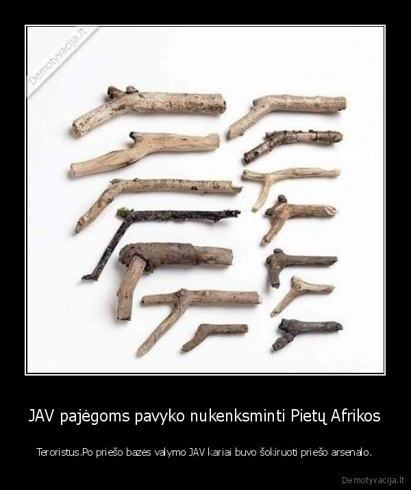 JAV pajėgoms pavyko nukenksminti Pietų Afrikos