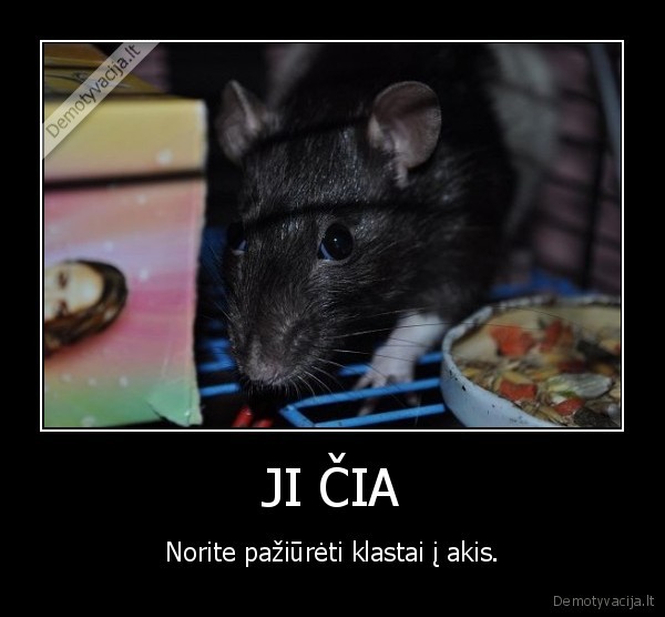 JI ČIA