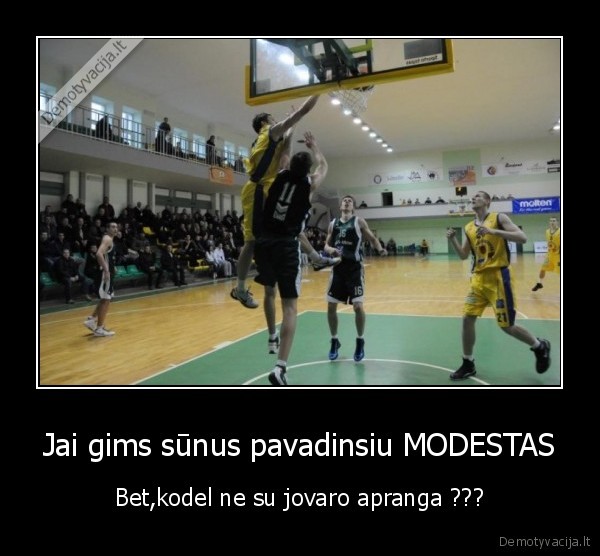 povilas, vkkm, valstybiniu, mokyklu, cempijonai