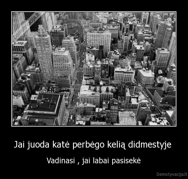 Jai juoda katė perbėgo kelią didmestyje 