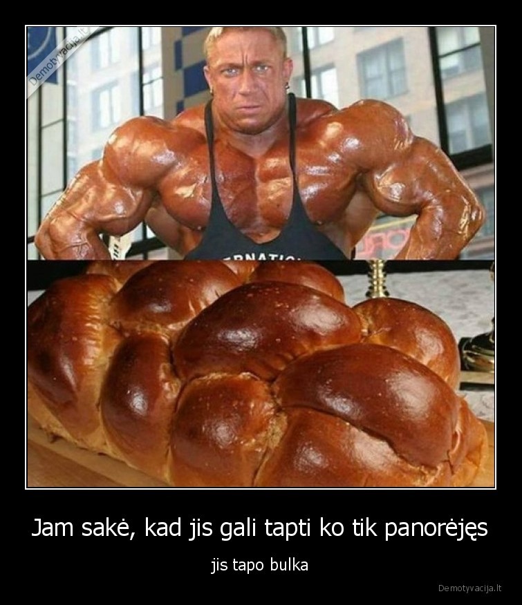 bulkute,kaciokas,body, builder