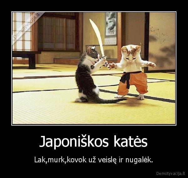 Japoniškos katės