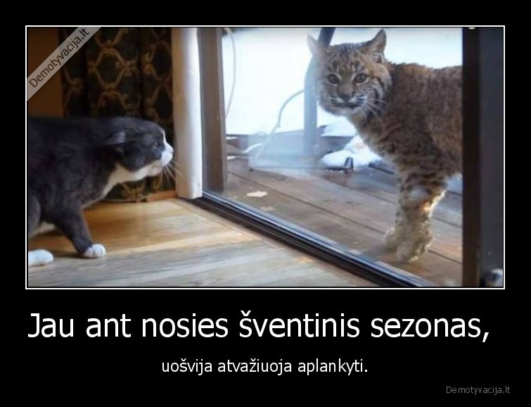 sventes,kate,katinas,uosvija,uosviene