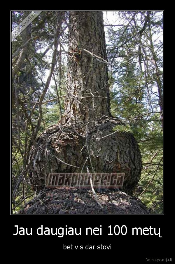 Jau daugiau nei 100 metų