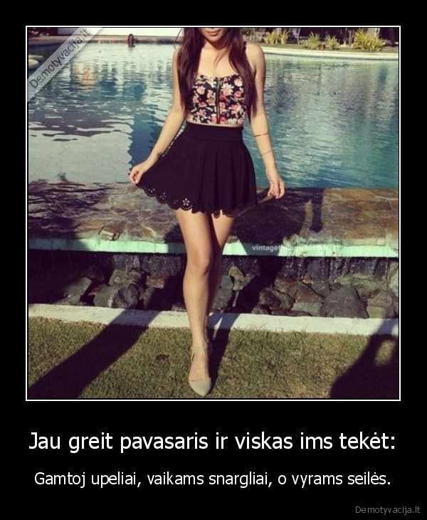 mini, sjonai,teka, seiles