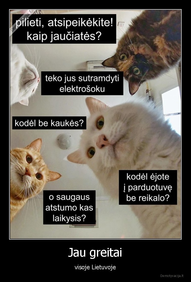 karantinas,lietuva,izoliacija,virusas