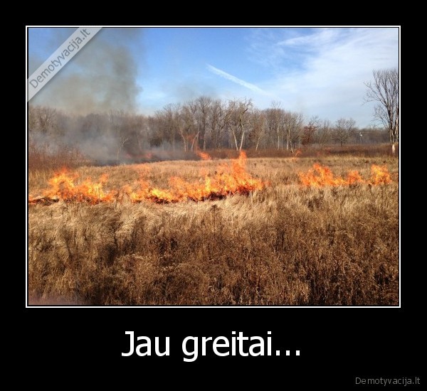 zoles, deginimas,gaisrai