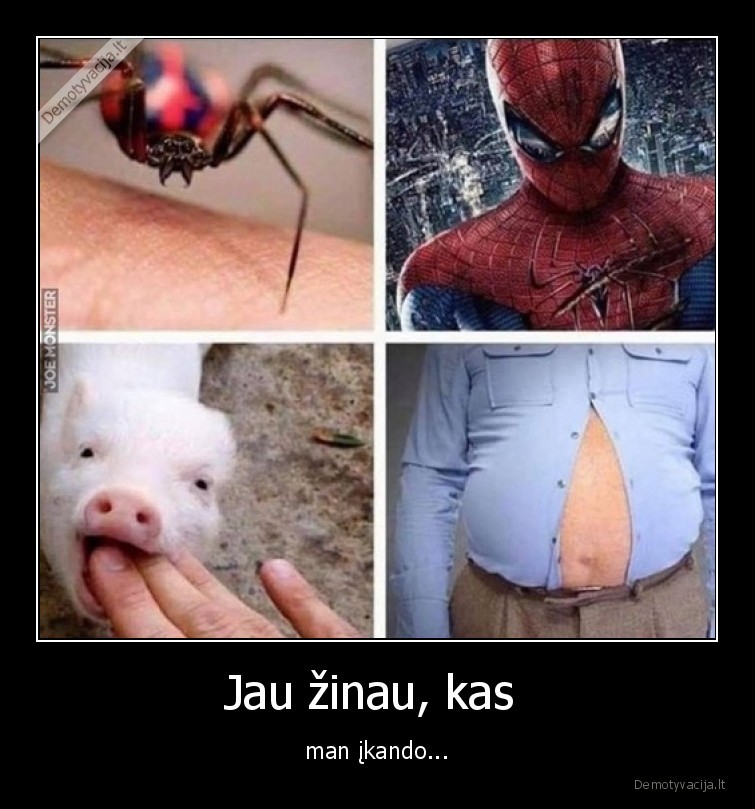 spiderman,kiaule,zmogus