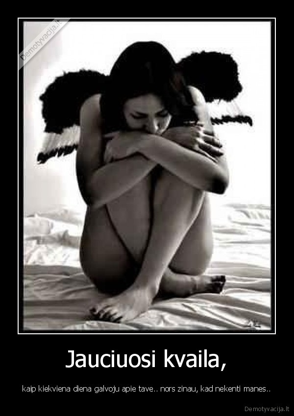 Jauciuosi kvaila,