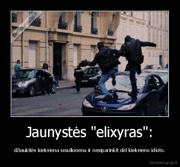 jaunyste,nervai,dziaugtis,smulkmenos,idiotai